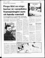 Síða 3