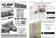 Síða 11
