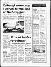 Síða 5
