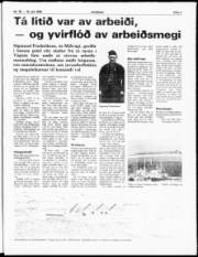 Síða 3