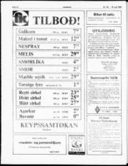 Síða 12