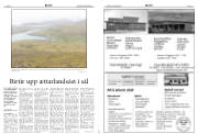 Síða 15