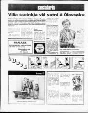 Síða 8