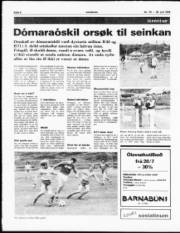 Síða 6