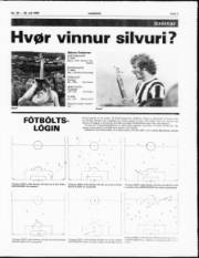 Síða 7