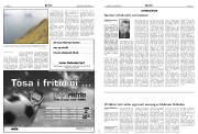 Síða 17