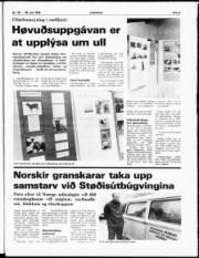 Síða 3