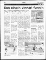 Síða 8