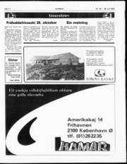 Síða 11