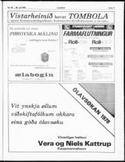 Síða 17