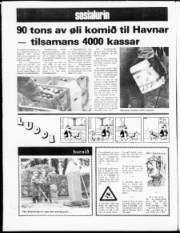 Síða 20