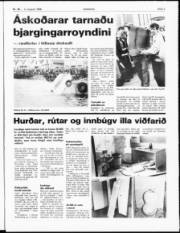 Síða 3
