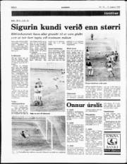 Síða 8