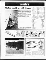 Síða 12