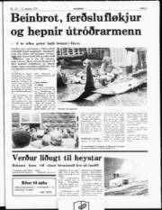 Síða 3