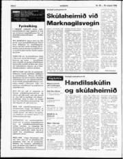 Síða 2