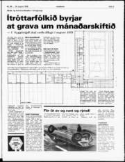 Síða 3