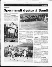 Síða 6