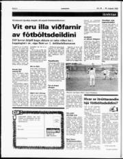 Síða 6