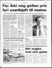 Síða 3