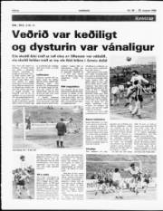 Síða 6