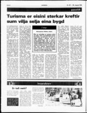 Síða 6