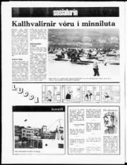 Síða 16