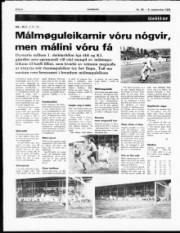 Síða 6