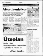 Síða 7