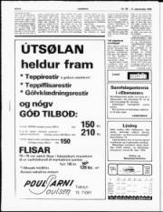 Síða 8