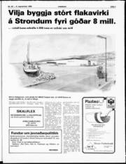 Síða 3