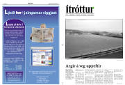 Síða 11