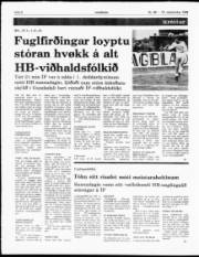 Síða 6