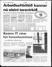 Síða 3