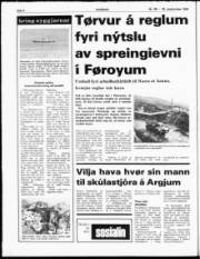 Síða 4