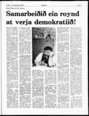 Síða 7