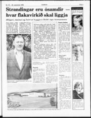 Síða 3