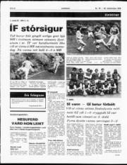 Síða 8
