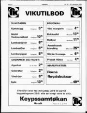 Síða 12
