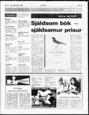 Síða 15