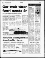 Síða 5
