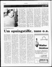 Síða 6