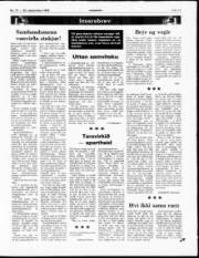 Síða 11