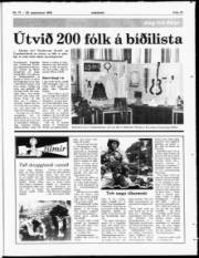 Síða 19