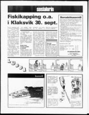 Síða 20