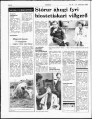 Síða 4