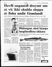 Síða 8