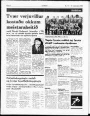 Síða 12