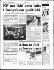 Síða 3