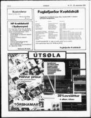 Síða 6
